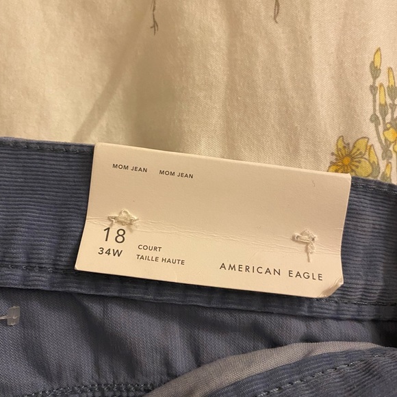 American Eagle Corduroy Blue Mom Jeans - Picture 2 of 5